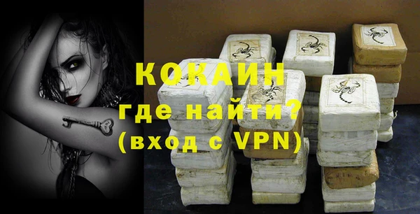 стаф Белокуриха