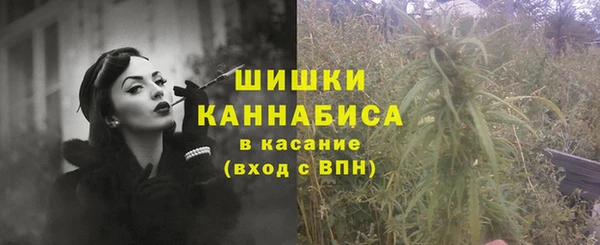 стаф Белокуриха