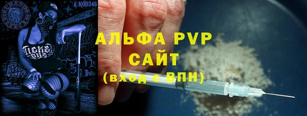 стаф Белокуриха
